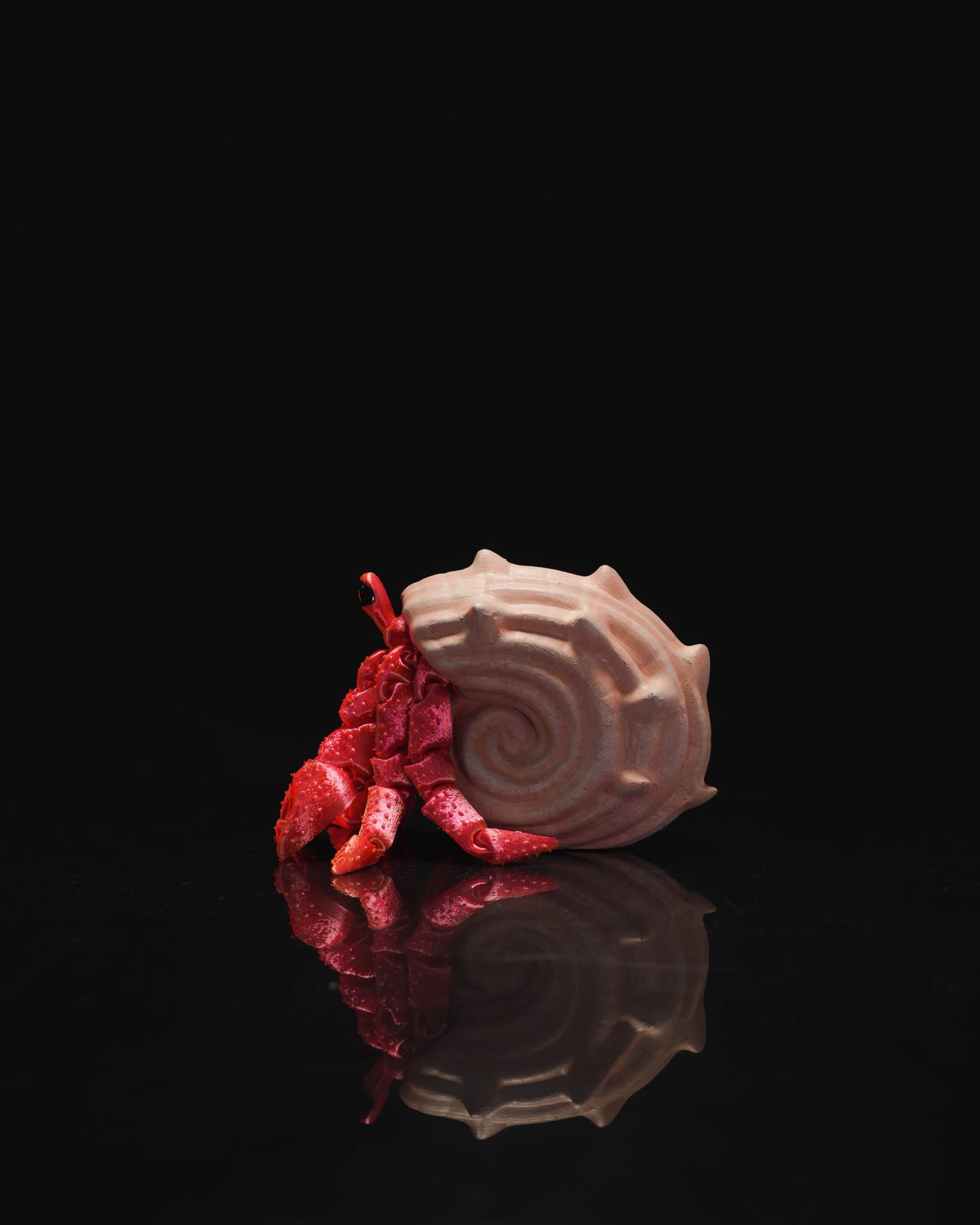 20003 Articulated Hermit Crab with Shell