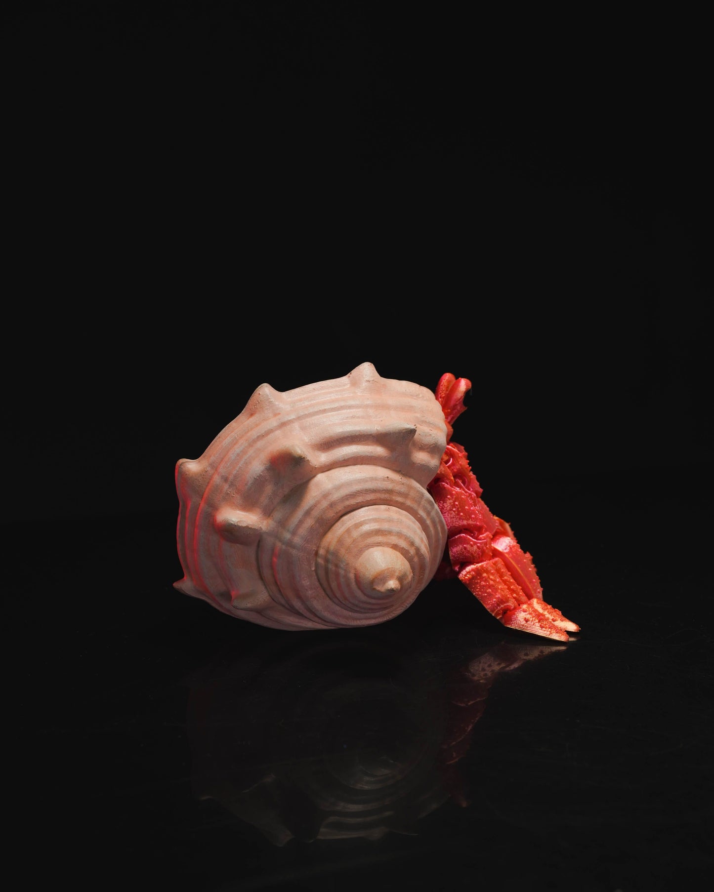 20003 Articulated Hermit Crab with Shell